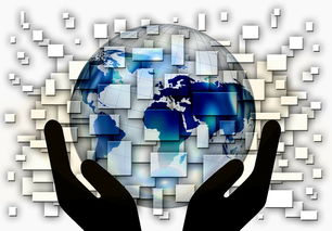 米兰体育报-中国篮球教练员战术创新与应用案例分析，篮球教练基本战术